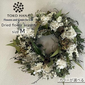 yӂ邳Ɣ[ŁzhCt[ [X MTCY  / tokohana [AOC018] 31000~ ԑ