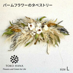 yӂ邳Ɣ[Łzp[t[̃^yXg[iLTCYj@s / tokohana hCt[ AW[AOC030] 40000~ 4~