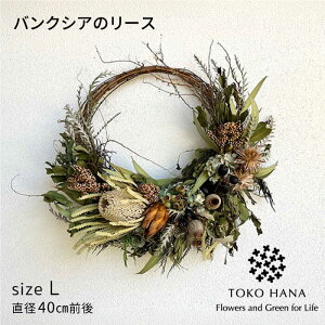 yӂ邳Ɣ[ŁzoNVÃ[XiLTCYj s / tokohana hCt[ AW[AOC031] 47000~