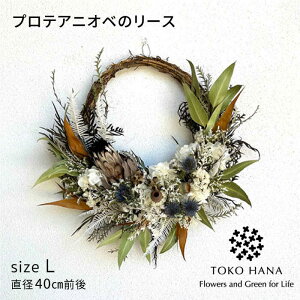 yӂ邳Ɣ[ŁzveAjIx̃[XiLTCYj s / tokohana hCt[ AW[AOC033] 47000~