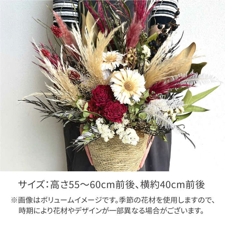 楽天市場】【ふるさと納税】ロゼッタのアレンジメント（Mサイズ） 糸島 