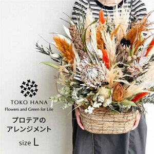 yӂ邳Ɣ[ŁzveÃAWgiLTCYj s / tokohana hCt[ AW[AOC037] 77000~