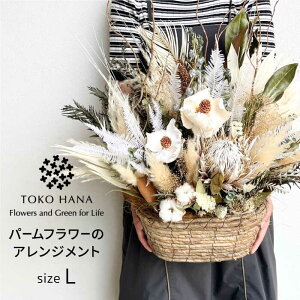 yӂ邳Ɣ[Łzp[t[̃AWgiLTCYj s / tokohana hCt[ AW[AOC038] 77000~