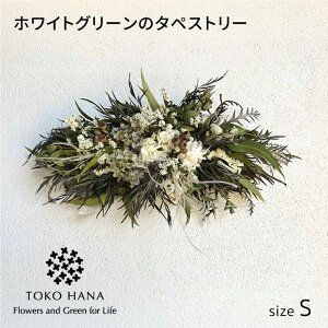 yӂ邳Ɣ[ŁzzCgO[̃^yXg[iSTCYj s / tokohana hCt[ AW[AOC039] 30000~ 3~