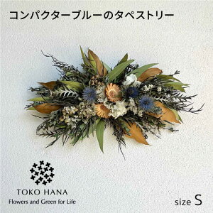 yӂ邳Ɣ[ŁzRpN^[u[̃^yXg[iSTCYj s / tokohana hCt[ AW[AOC040] 30000~ 3~