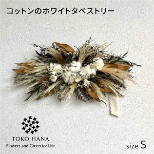 yӂ邳Ɣ[ŁzRbg̃zCg^yXg[iSTCYj s / tokohana hCt[ AW[AOC041] 30000~ 3~