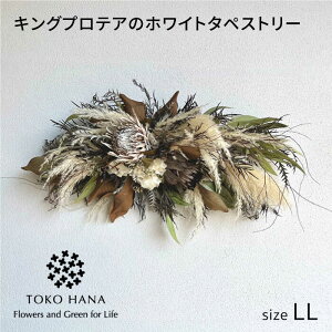 yӂ邳Ɣ[ŁzLOveÃzCg^yXg[iLLTCYj s / tokohana hCt[ AW[AOC043] 70000~ 7~