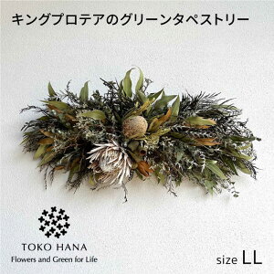 yӂ邳Ɣ[ŁzLOveÃO[^yXg[iLLTCYj s / tokohana hCt[ AW[AOC044] 70000~ 7~