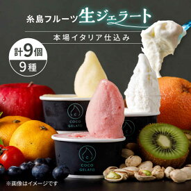 【ふるさと納税】＼本場イタリア仕込み／糸島 フルーツ 生ジェラート 9個セット 糸島市 / COCO GELATO[AON001] 15000円 1万5千円