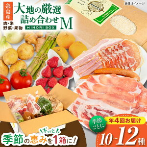 yӂ邳Ɣ[ŁzyS4ցz Y    ʕ Ilߍ킹 MINORI BOX MTCYyG߂ƂɔN4񂨓͂z s / emma.Inc /    ʕ lߍ킹[AOP002] Zbg { 164000~ 10