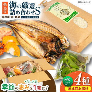 yӂ邳Ɣ[ŁzyS4ցz Y    ʕ Ilߍ킹 MINORI BOX STCYyG߂ƂɔN4񂨓͂z@s / emma.Inc /    lߍ킹[AOP004] Zbg { 84000~
