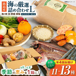 yӂ邳Ɣ[ŁzyS4ցz Y    ʕ Ilߍ킹 MINORI BOX LTCYyG߂ƂɔN4񂨓͂z@s / emma.Inc /    ʕ lߍ킹[AOP006] Zbg { 240000~ 2