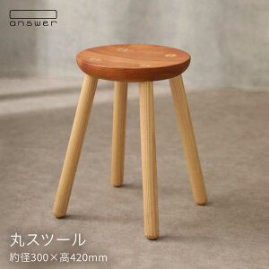 yӂ邳Ɣ[ŁzۃXc[ᎅyanswerz/CeA/؍HƋ/Ntg/IWi [APB016] 88000~