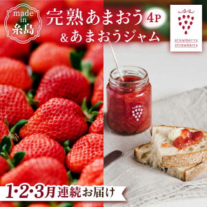 yӂ邳Ɣ[ŁzystzyS3ցzn ܂ 270g × 4pbN / ܂ W 140g × 3{ y2026N1菇z s / slowberry strawberry   [APJ004] 51000~ 퉷