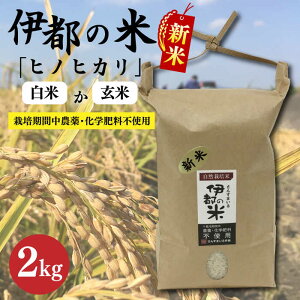 yӂ邳Ɣ[Łzyߘa7NYzɓs̕ i qmqJ j 2kg s / ɓsT[rX [APL001]    퉷 10000~ 1~