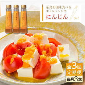 【ふるさと納税】【全3回定期便】【ご家庭用】糸島野菜を食べる生ドレッシング (人参) 3本セット【糸島正キ】 [AQA029] 34000円 常温