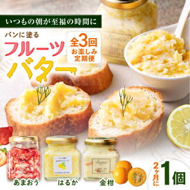 【ふるさと納税】【全3回定期便/2ヶ月に1回】お楽しみ定期便 フルーツバター大1個 糸島市 / 糸島正キ ジャム クリーム 果物[AQA065]2万8千円28000円