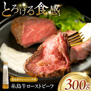 yӂ邳Ɣ[ŁzyIz[Xgr[t 300g×1 s / L /  [AQA099] 34000~ 34~ Ⓚ