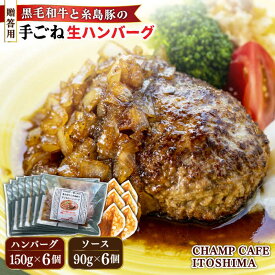 【ふるさと納税】【贈答用】 糸島一人気の黒毛和牛と糸島豚の手ごね生ハンバーグ 特製角切りオニオンのハンバーグソース付！冷凍真空パック 150g×6個 個包装【CHAMP CAFE】 [AQE012] 27000円 2万7千円