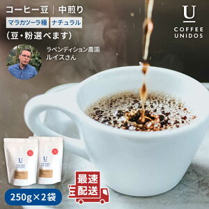 yӂ邳Ɣ[ŁzR[q[250g×2 (EIׂ܂) jJOAYxfBV_}Jc[i` ᎅsyCOFFEE UNIDOSz/JtF/R[q[/ [AQF001]17000~ 