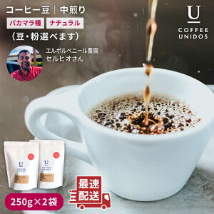 yӂ邳Ɣ[ŁzR[q[250g×2 (EIׂ܂) G|xj[_pJ}i`sstyCOFFEE UNIDOSz/JtF/R[q[ [AQF004] 16000~ 퉷