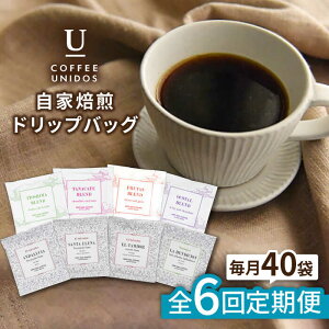 yӂ邳Ɣ[ŁzyS6ցzR[q[hbvobO 40 Zbg ( 8 × 5 ) s / COFFEE UNIDOS /JtF/R[q[ [AQF019] 154000~ 퉷 10~