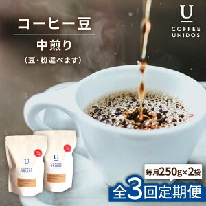 yӂ邳Ɣ[ŁzyS3ցzR[q[ EjhXuh 250g×2 (EIׂ܂) s / COFFEE UNIDOS /JtF/R[q[ [AQF021] 43000~ 퉷