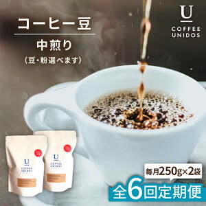 yӂ邳Ɣ[ŁzyS6ցzR[q[ EjhXuh 250g×2 (EIׂ܂) s / COFFEE UNIDOS /JtF/R[q[ [AQF022] 85000~ 퉷