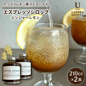 yӂ邳Ɣ[ŁzESPRESSO SYRUP GINGER LEMON 210cc×2{ s / COFFEE UNIDOS R[q[ GXvb\Vbv[AQF024] 16000~ 퉷