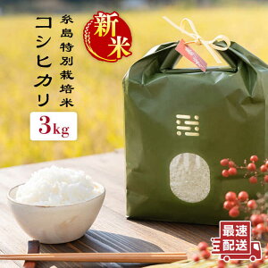 yӂ邳Ɣ[Łzyߘa7NYVāz ʍ͔| RVqJ 3kg styitoshimaccos()܂tz [ARJ001] 퉷 Ƃ܂ 15000~ 15~