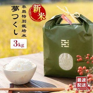 yӂ邳Ɣ[Łzyߘa7NYVāz ʍ͔|  3kg styitoshimaccos()܂tz [ARJ003] 15000~ 15~ Ƃ܂