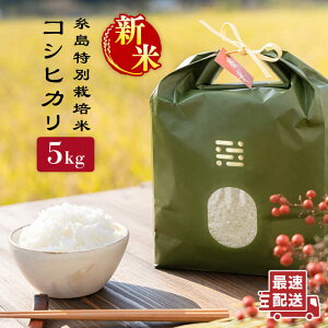 yӂ邳Ɣ[Łzyߘa7NYVāzʍ͔|ăRVqJ5kgstyitoshimaccos()܂tz [ARJ005] 퉷 Ƃ܂ 23000~ 23~