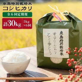 【ふるさと納税】【全6回定期便】糸島特別栽培米コシヒカリ5kg《糸島》【itoshimacco《(株)やました》】 [ARJ006] 75000円 7万5千円 常温 いとしまっこ