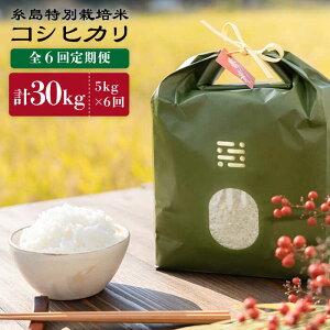 yӂ邳Ɣ[Łzyߘa7NYVāzyS6ցzʍ͔|ăRVqJ5kgstyitoshimaccos()܂tz [ARJ006] 퉷 Ƃ܂ 100000~ 10~