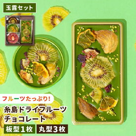 【ふるさと納税】【玉露】糸島ドライフルーツチョコレート3種4個セットBOX《糸島》【itoshimacco《やました》】 [ARJ018] いとしまっこ 16000円 1万6千円