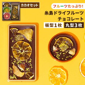 【ふるさと納税】【カカオ72%】糸島ドライフルーツチョコレート3種4個セットBOX《糸島》【itoshimacco《やました》】 [ARJ020] いとしまっこ 16000円 1万6千円