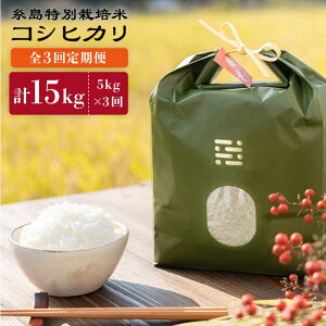 yӂ邳Ɣ[Łzyߘa7NYVāzyS3ցzʍ͔|ăRVqJ5kgstyitoshimaccos()܂tz [ARJ025] 퉷 Ƃ܂ 67000~ 67~