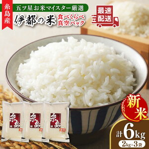 yӂ邳Ɣ[Łzyۑ\zyߘa7NYVāz ܃că}CX^[I i킨܂  6kgi2kg×3܁j s / [xčX[ARL004] ^pbN  24000~ 24~