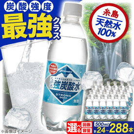 【ふるさと納税】強炭酸水 プレーン 500ml × 24本 / 48本 糸島市 / スターナイン 炭酸水 国産 [ARM002] お届け本数と回数選べる 常温 5000円 5千円 1万円以下