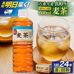 �y�ӂ邳�Ɣ[�Łz�y�ŒZ�����͂��I�z���� 600ml × 24�{ / 48�{ �����s / �X�^�[�i�C�� ���� �y�b�g�{�g�� [ARM005] ���͂��{���Ɖ񐔑I�ׂ� �퉷 6000�~ 6��~