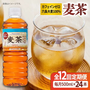yӂ邳Ɣ[ŁzyS12ցz 600ml × 24{ s / X^[iC  ybg{g [ARM020]71000~퉷