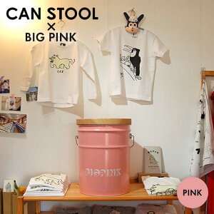 yӂ邳Ɣ[ŁzyBIG PINKzCANSTOOL 1 s / X[NEh [ASB011] Xc[ [ 41000~