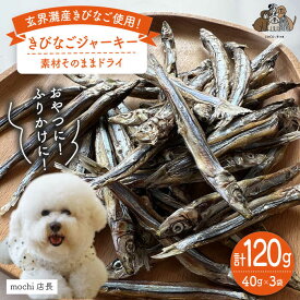 【ふるさと納税】きびなご ジャーキー 40g×3袋 糸島市 / 株式会社コバヤシ【coco.kina】 [ASL009] 常温 お魚ジャーキー 犬 おやつ 11000円 1万1千円