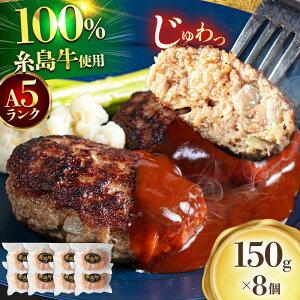 yӂ邳Ɣ[ŁzyA5Nz  no[O 150g × 8@s / }Vt[Y / no[O [ASQ002] y  15000~ 15~