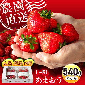 【ふるさと納税】【先行予約】【農園直送】糸島のあまおう 2パック/4パック (サイズおまかせL〜5L) 【2027年1月以降発送】/ 果物 フルーツ いちご / 糸島市 / 磯本農園 / TANNAL[ATB003]
