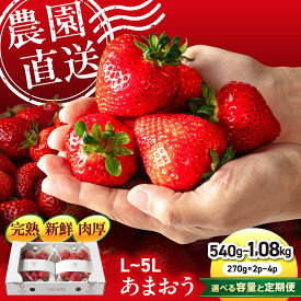 【ふるさと納税】【先行予約】 農園直送 糸島 あまおう 2パック/4パック (サイズおまかせL〜5L) 【2027年1月以降発送】/ 果物 フルーツ いちご / 糸島市 / 磯本農園 / TANNAL [ATB003] ふるさと納税 あまおう いちご あまおう 定期便 いちご定期便 あまおう アマオウ