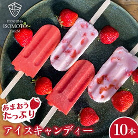 【ふるさと納税】【お中元対象】あまおう / あまおう ミルク アイス キャンディ 2種 10本セット 糸島市 / 磯本農園 TANNAL [ATB025] 13000円