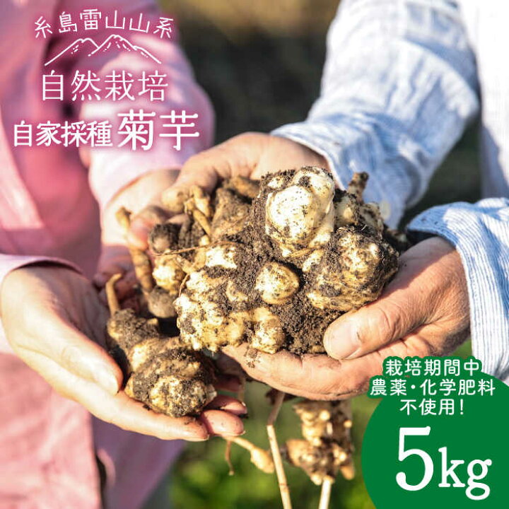 楽天市場】【ふるさと納税】 糸島産 菊芋 5kg 自然栽培 糸島市 / 大石 