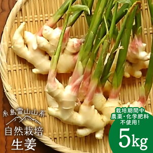 yӂ邳Ɣ[ŁzY I 5kg R͔| ᎅy΃t@[z [ATE011] 퉷 36000~ 36~