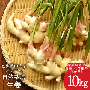 yӂ邳Ɣ[ŁzY I 10kg R͔| ᎅy΃t@[z [ATE012] 퉷 72000~ 72~